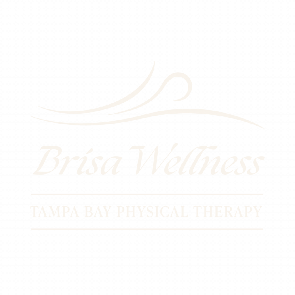 BrisaWellness logo