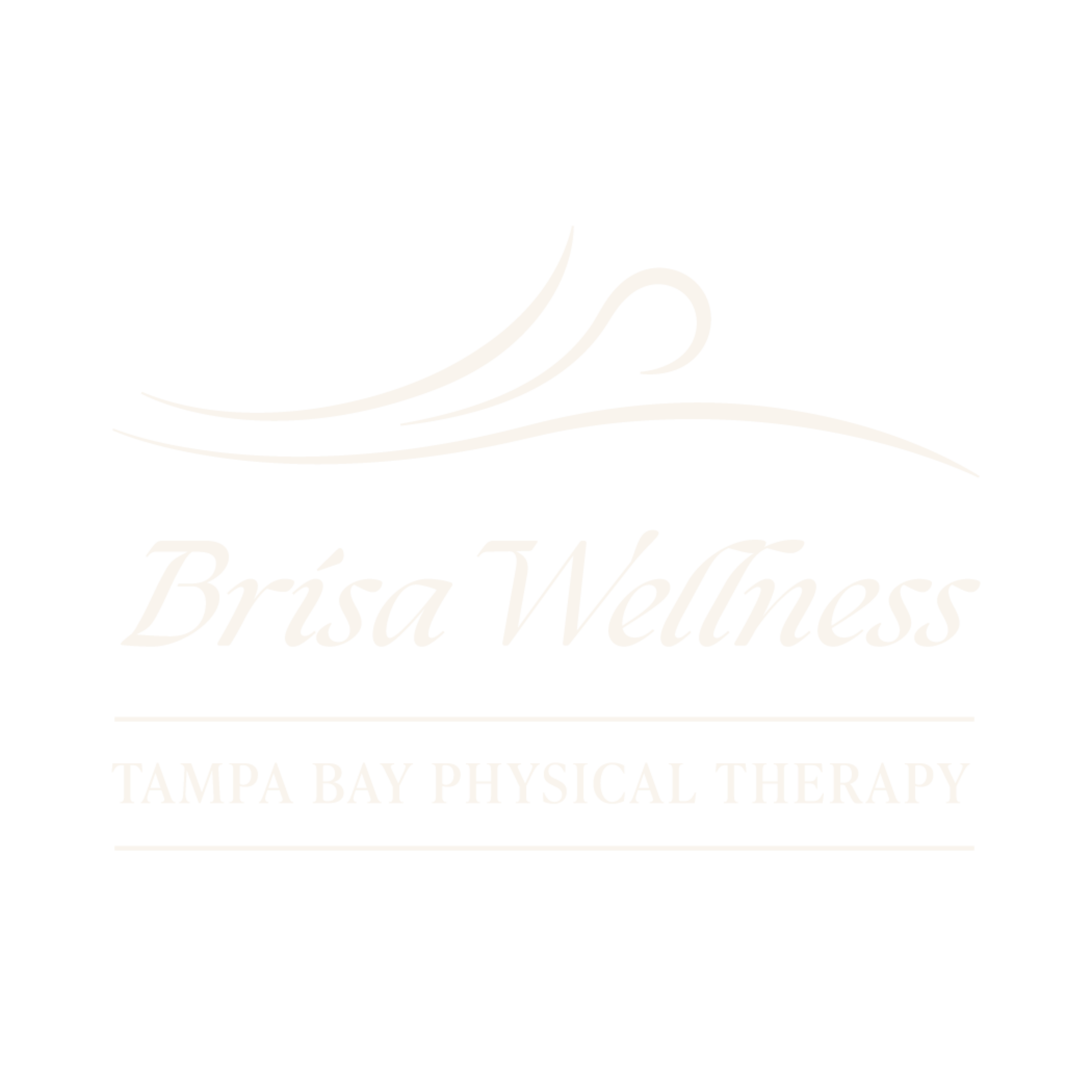 BrisaWellness logo